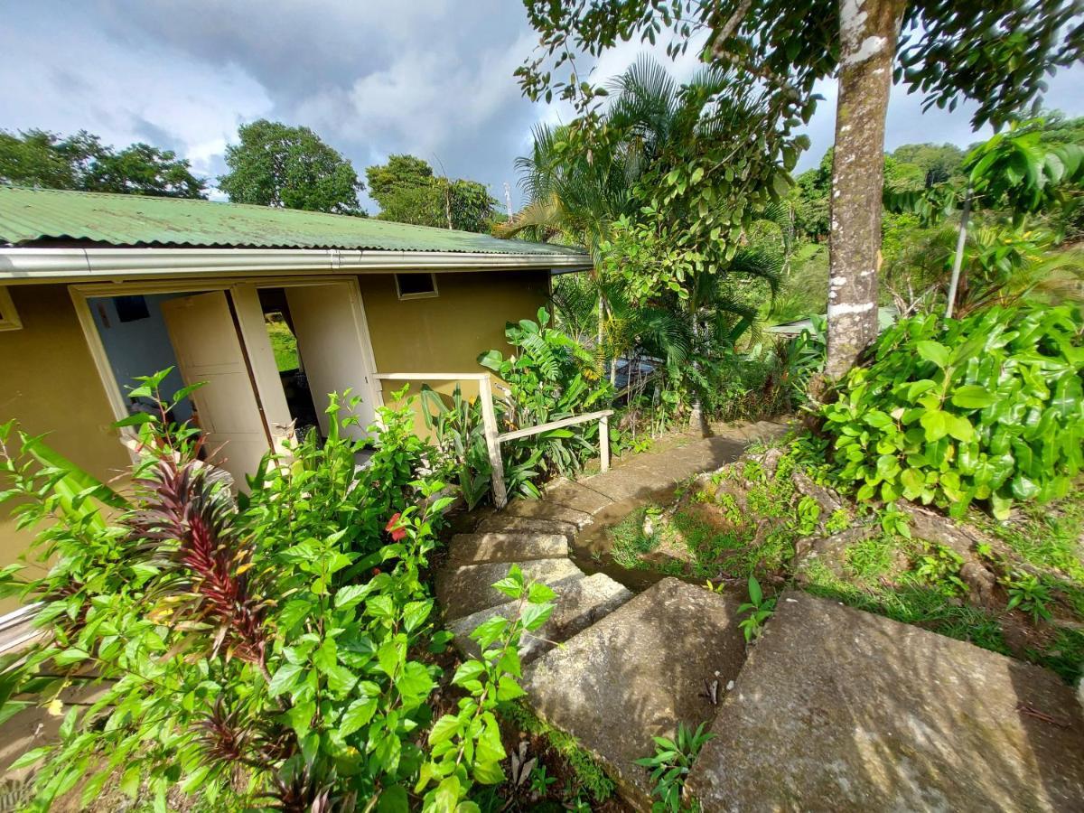 Casita Genesis - Bahia Drake Bay Apartment Exterior photo